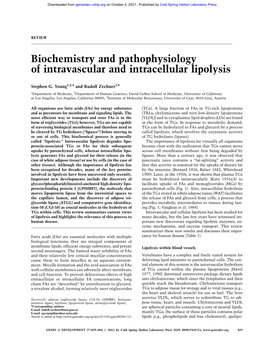 Biochemistry and Pathophysiology of Intravascular and Intracellular Lipolysis