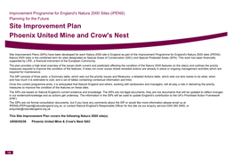 Site Improvement Plan Phoenix United Mine and Crow's Nest