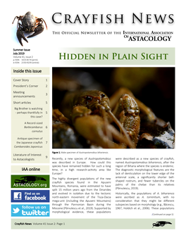 Crayfish News Volume 41 Issue 2: Page 1 Dear IAA Members Dauricus
