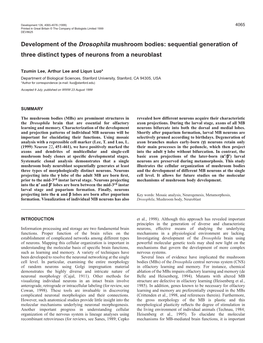 Clonal Analysis of the Mushroom Bodies 4067 Are Derived from the Same Nb Remains to Be Elucidated (Fig