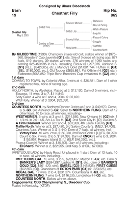 Chestnut Filly Barn 19 Hip No