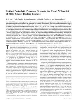 Peptides and N Termini of MHC Class I-Binding Distinct Proteolytic