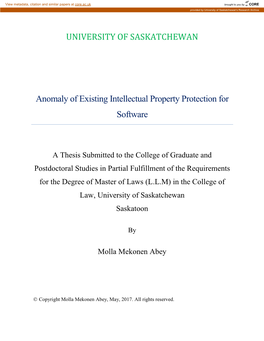 Anomaly of Existing Intellectual Property Protection for Software
