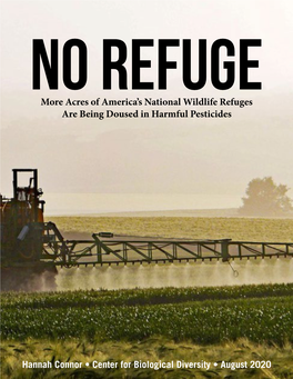 No-Refuge-Report-2020.Pdf