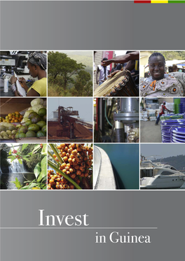 Invest in Guinea Dear Readers, I Have the Great Honour of Presenting This Guide for International Investors