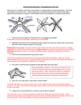 Phylum Echinodermata: Investigating the Sea Star