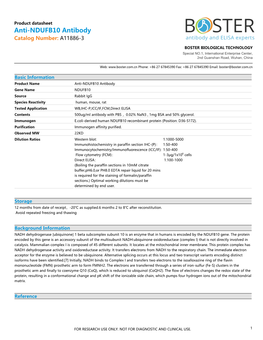 Datasheet A11886-3 Anti-NDUFB10 Antibody