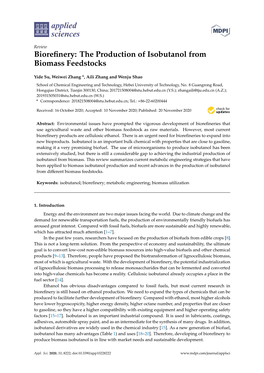 Biorefinery: the Production of Isobutanol from Biomass Feedstocks