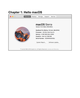 Hello Macos Graphic Bundle Chapter 2: Basic Swift