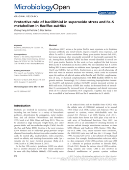 Protective Role of Bacillithiol in Superoxide Stress and Fe–S Metabolism in Bacillus Subtilis