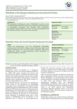 Wakefieldia, a New Hypogeous Basidiomycete Genus Record for Turkey