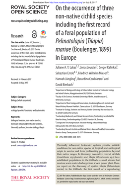 On the Occurrence of Three Non-Native Cichlid Species Including the First