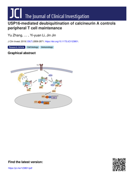 USP16-Mediated Deubiquitination of Calcineurin a Controls Peripheral T Cell Maintenance