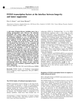 FOXO Transcription Factors at the Interface Between Longevity and Tumor Suppression