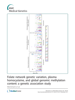 Folate Network Genetic Variation, Plasma Homocysteine, and Global