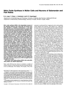 Nitric Oxide Synthase in Miiller Cells and Neurons of Salamander and Fish Retina