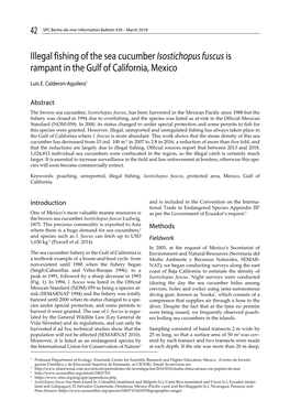 Illegal Fishing of the Sea Cucumber Isostichopus Fuscus Is Rampant in the Gulf of California, Mexico