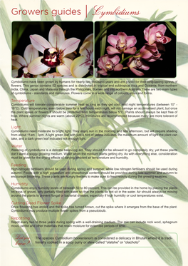 Growers Guides | Cymbidiums