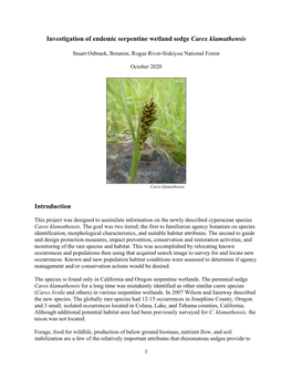 Investigation of Endemic Serpentine Wetland Sedge Carex Klamathensis