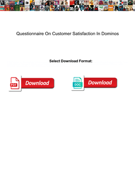 Questionnaire on Customer Satisfaction in Dominos