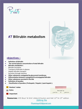 7 Bilirubin Metabolism