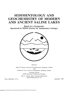Sedimentology and Geochemistry of Modern and Ancient Saline Lakes