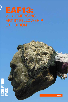 Eaf13: 2013 Emerging Artist Fellowship Exhibition