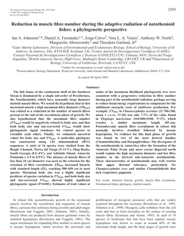 A Phylogenetic Perspective Ian A