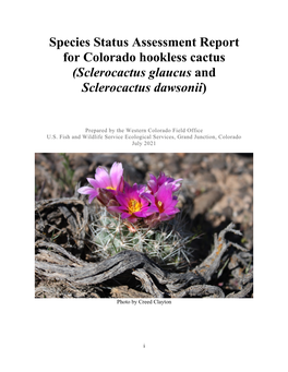 Species Status Assessment Report for Colorado Hookless Cactus (Sclerocactus Glaucus and Sclerocactus Dawsonii)