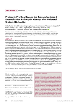 Proteomic Profiling Reveals the Transglutaminase-2 Externalization Pathway in Kidneys After Unilateral Ureteric Obstruction