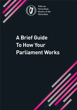 Houses of the Oireachtas a Brief Guide to How Your Parliament Works