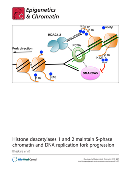 Histone Deacetylases 1 and 2 Maintain S-Phase Chromatin and DNA Replication Fork Progression Bhaskara Et Al