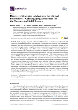 Discovery Strategies to Maximize the Clinical Potential of T-Cell Engaging Antibodies for the Treatment of Solid Tumors