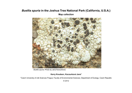 Buellia Spuria in the Joshua Tree National Park (California, U.S.A.) Map Collection