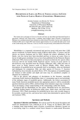 Descriptions of Larva and Pupa of Tomoxia Lineella with Notes On