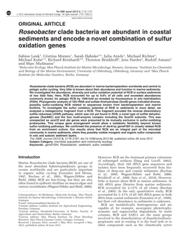 Roseobacter Clade Bacteria Are Abundant in Coastal Sediments and Encode a Novel Combination of Sulfur Oxidation Genes