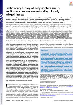 Evolutionary History of Polyneoptera and Its Implications for Our Understanding of Early Winged Insects