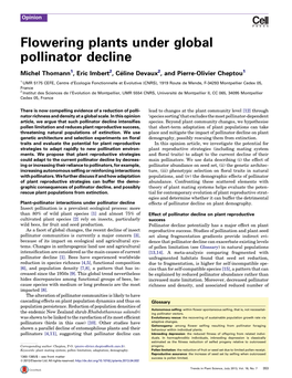 Flowering Plants Under Global Pollinator Decline