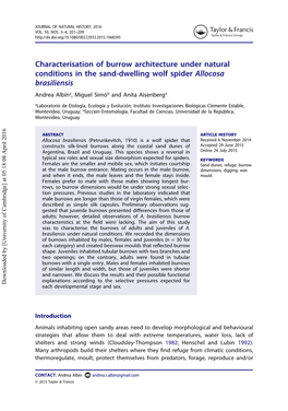 Characterisation of Burrow Architecture Under Natural Conditions in the Sand-Dwelling Wolf Spider Allocosa Brasiliensis