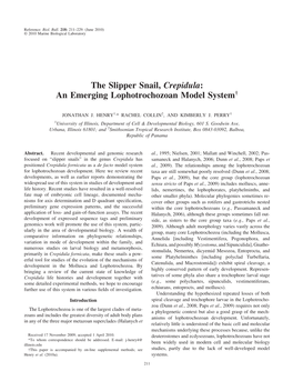 The Slipper Snail, Crepidula: an Emerging Lophotrochozoan Model System†