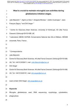 Wasl Is Crucial to Maintain Microglial Core Activities During Glioblastoma Initiation Stages