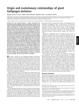 Origin and Evolutionary Relationships of Giant Gala´ Pagos Tortoises