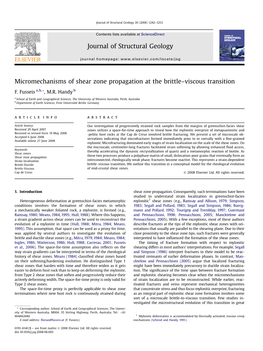 Micromechanisms of Shear Zone Propagation at the Brittle–Viscous Transition