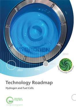 Technology Roadmap Hydrogen and Fuel Cells