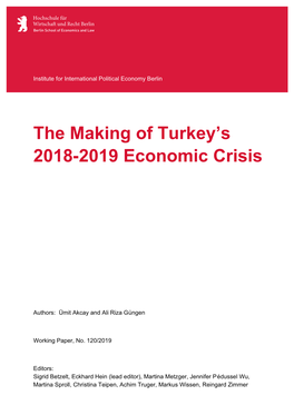 The Making of Turkey's 2018-2019 Economic Crisis