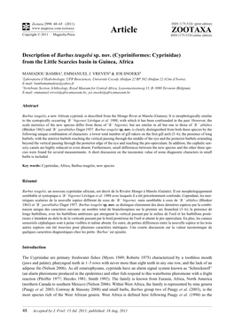 Description of Barbus Teugelsi Sp. Nov. (Cypriniformes: Cyprinidae) from the Little Scarcies Basin in Guinea, Africa