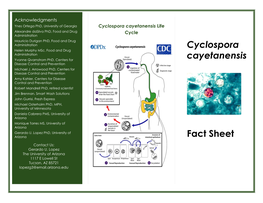 Cyclospora Cayetanensis Fact Sheet