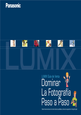 Manual Lumix