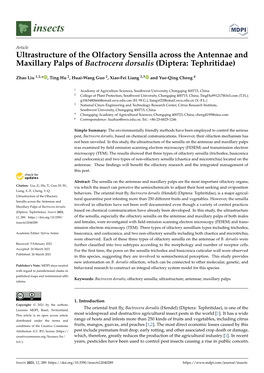 Ultrastructure of the Olfactory Sensilla Across the Antennae and Maxillary Palps of Bactrocera Dorsalis (Diptera: Tephritidae)