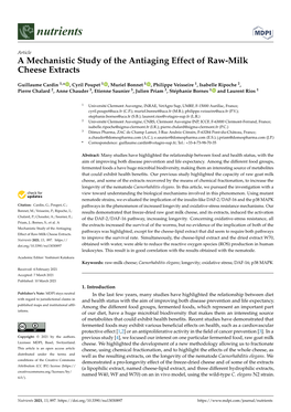 A Mechanistic Study of the Antiaging Effect of Raw-Milk Cheese Extracts